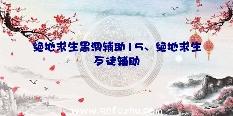 绝地求生黑洞辅助15、绝地求生歹徒辅助