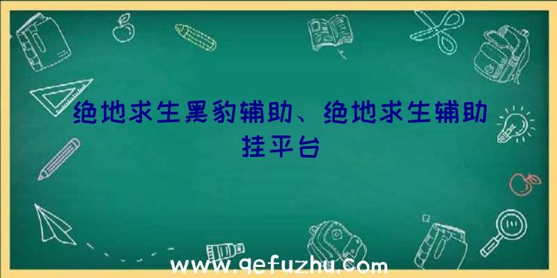 绝地求生黑豹辅助、绝地求生辅助挂平台