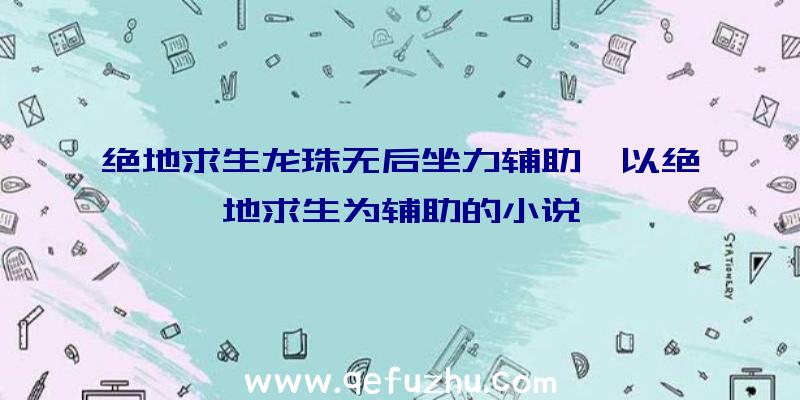 绝地求生龙珠无后坐力辅助、以绝地求生为辅助的小说