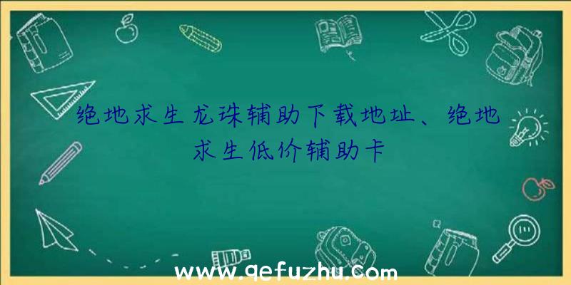 绝地求生龙珠辅助下载地址、绝地求生低价辅助卡