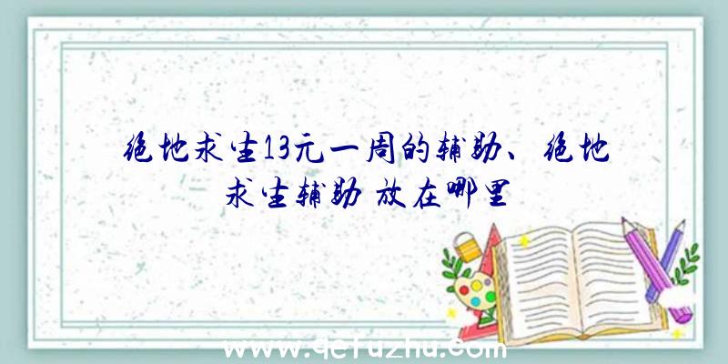 绝地求生13元一周的辅助、绝地求生辅助