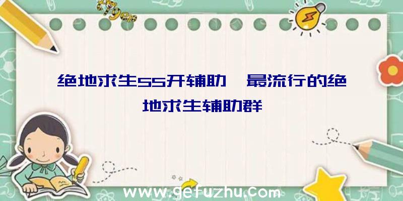 绝地求生55开辅助、最流行的绝地求生辅助群