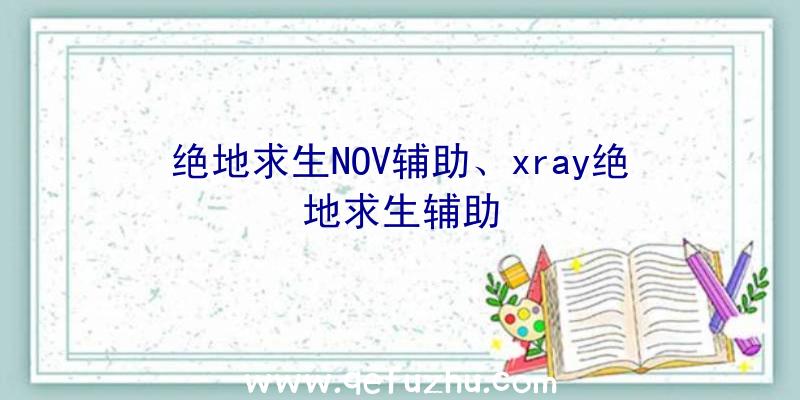 绝地求生NOV辅助、xray绝地求生辅助