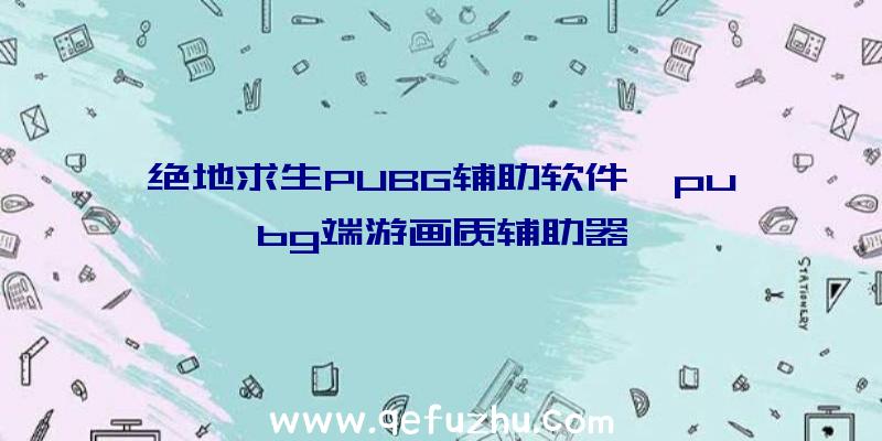 绝地求生PUBG辅助软件、pubg端游画质辅助器