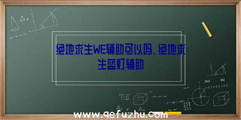 绝地求生WE辅助可以吗、绝地求生蓝灯辅助