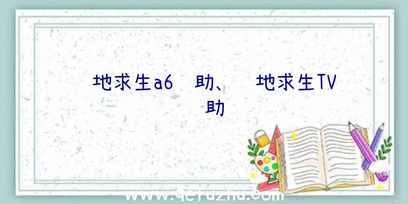 绝地求生a6辅助、绝地求生TV辅助