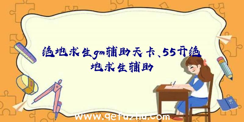 绝地求生gm辅助天卡、55开绝地求生辅助