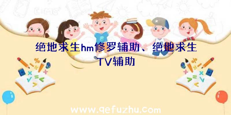 绝地求生hm修罗辅助、绝地求生TV辅助