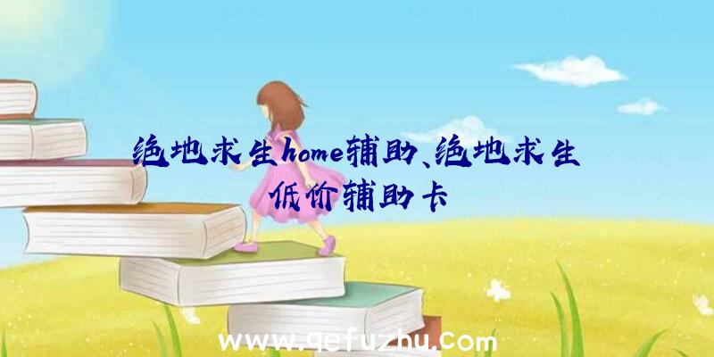 绝地求生home辅助、绝地求生低价辅助卡