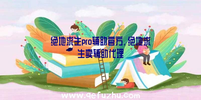 绝地求生pro辅助官方、绝地求生卖辅助代理