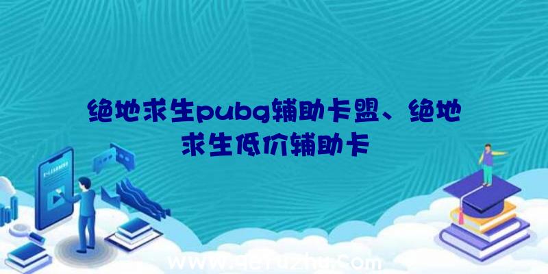 绝地求生pubg辅助卡盟、绝地求生低价辅助卡