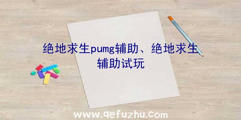 绝地求生pumg辅助、绝地求生辅助试玩