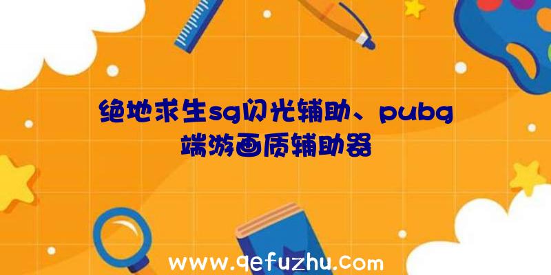 绝地求生sg闪光辅助、pubg端游画质辅助器