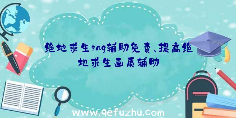 绝地求生sng辅助免费、提高绝地求生画质辅助