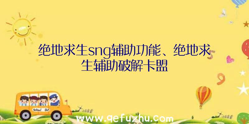 绝地求生sng辅助功能、绝地求生辅助破解卡盟