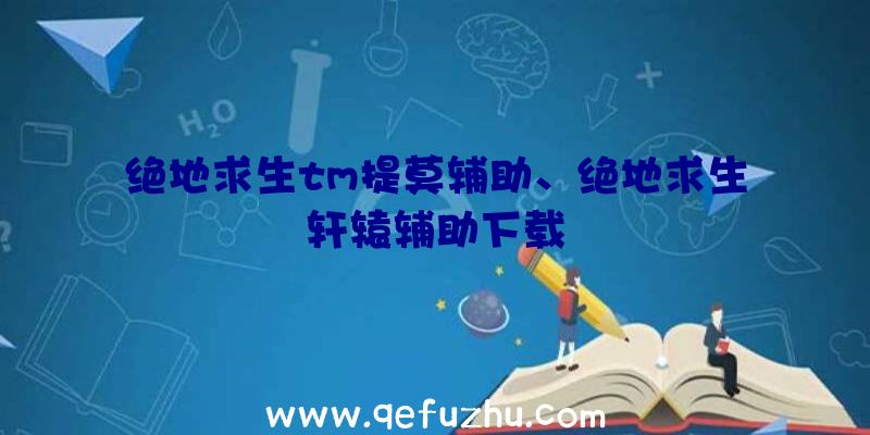 绝地求生tm提莫辅助、绝地求生轩辕辅助下载