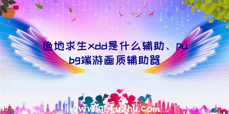 绝地求生xdd是什么辅助、pubg端游画质辅助器