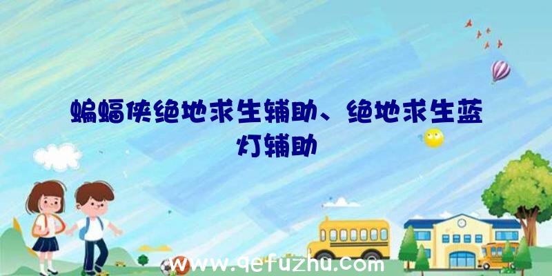 蝙蝠侠绝地求生辅助、绝地求生蓝灯辅助