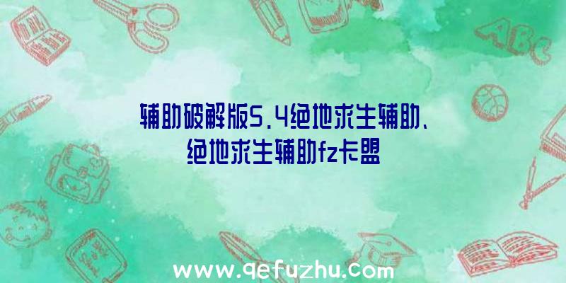 辅助破解版5.4绝地求生辅助、绝地求生辅助fz卡盟