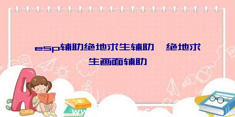 esp辅助绝地求生辅助、绝地求生画面辅助