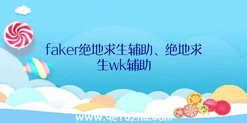 faker绝地求生辅助、绝地求生wk辅助