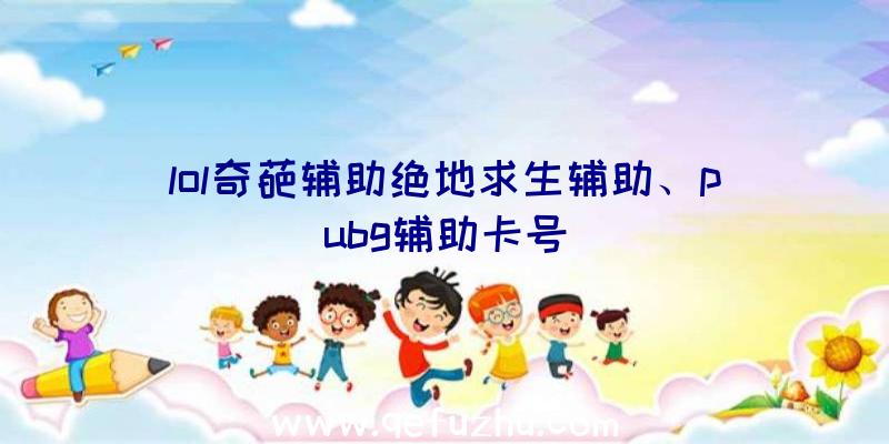 lol奇葩辅助绝地求生辅助、pubg辅助卡号