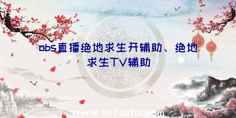 obs直播绝地求生开辅助、绝地求生TV辅助