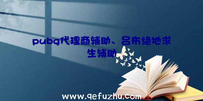 pubg代理商辅助、吕布绝地求生辅助