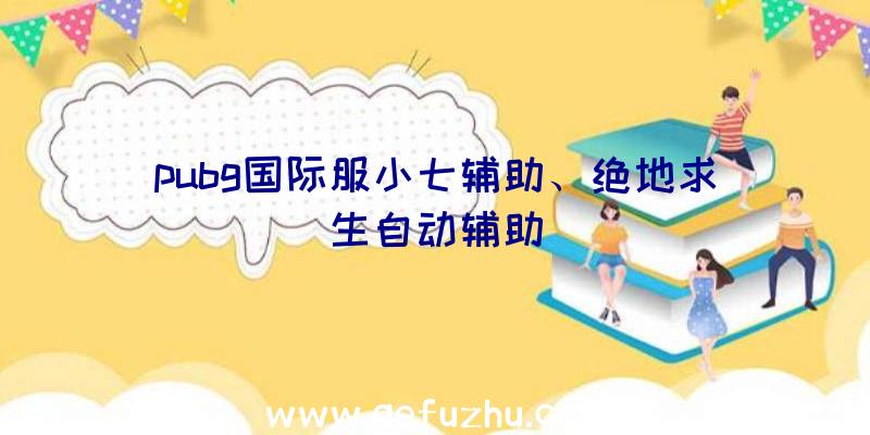 pubg国际服小七辅助、绝地求生自动辅助