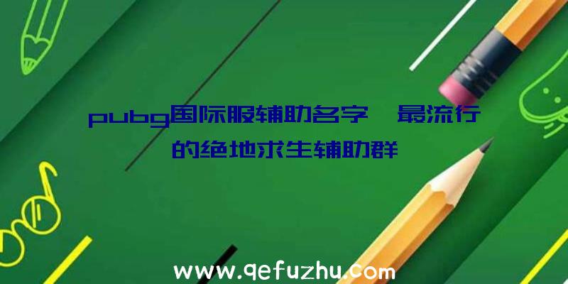 pubg国际服辅助名字、最流行的绝地求生辅助群