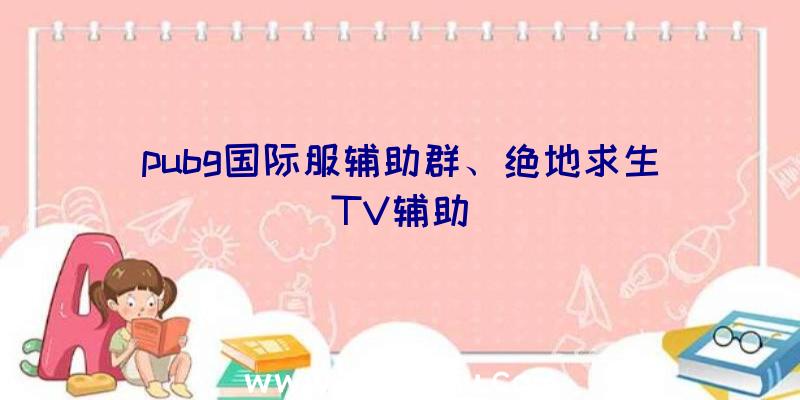 pubg国际服辅助群、绝地求生TV辅助