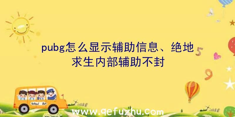 pubg怎么显示辅助信息、绝地求生内部辅助不封