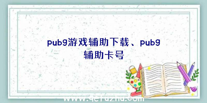 pubg游戏辅助下载、pubg辅助卡号