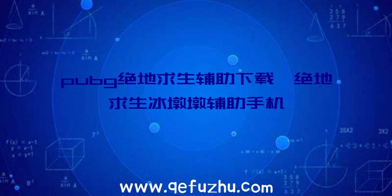 pubg绝地求生辅助下载、绝地求生冰墩墩辅助手机