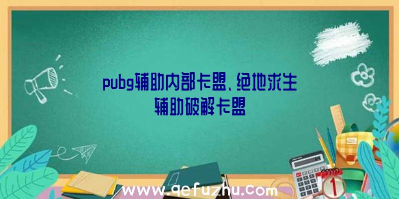 pubg辅助内部卡盟、绝地求生辅助破解卡盟