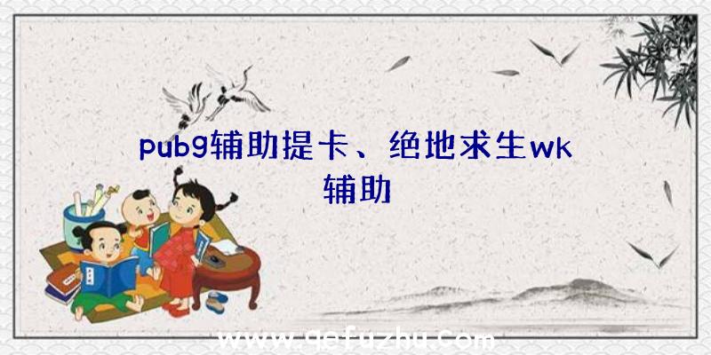 pubg辅助提卡、绝地求生wk辅助