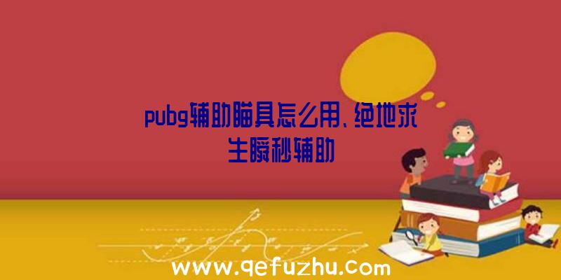 pubg辅助瞄具怎么用、绝地求生瞬秒辅助