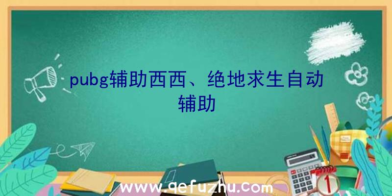 pubg辅助西西、绝地求生自动辅助