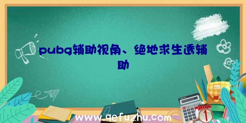 pubg辅助视角、绝地求生透辅助