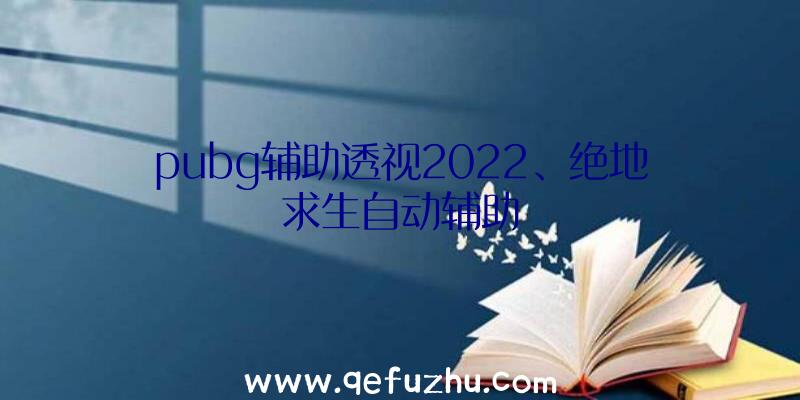 pubg辅助透视2022、绝地求生自动辅助