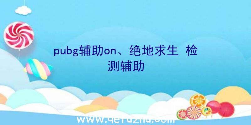 pubg辅助on、绝地求生