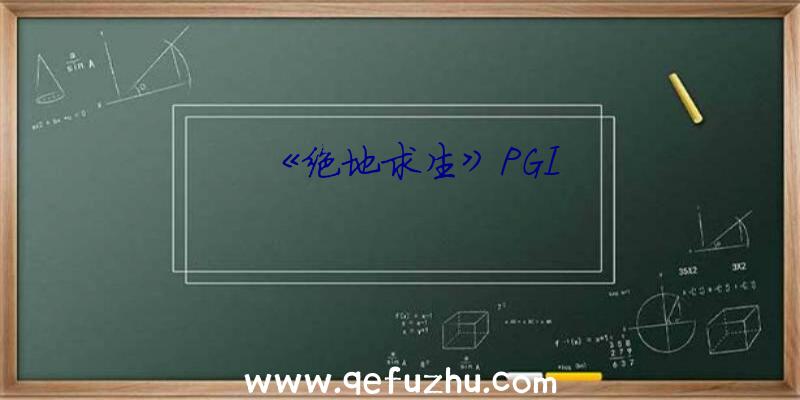 《绝地求生》PGI