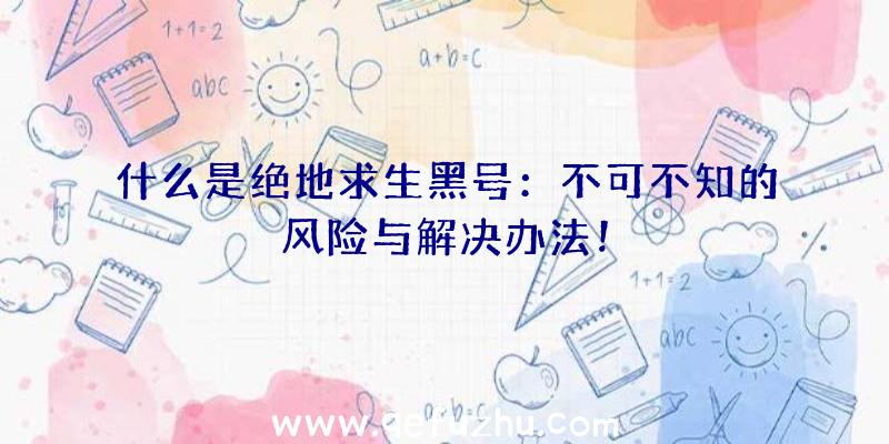 什么是绝地求生黑号：不可不知的风险与解决办法！