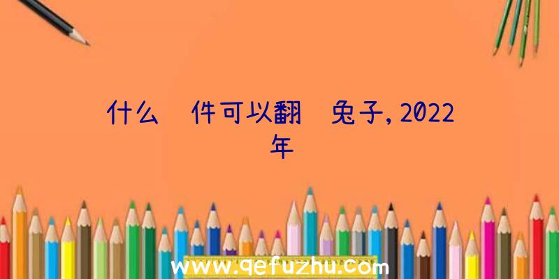 什么软件可以翻译兔子,2022年