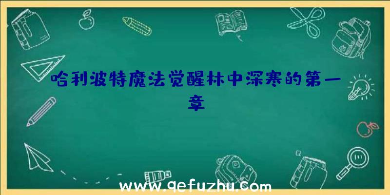 哈利波特魔法觉醒林中深寒的第一章