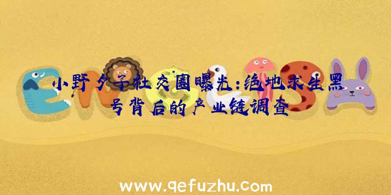 小野夕子社交圈曝光：绝地求生黑号背后的产业链调查