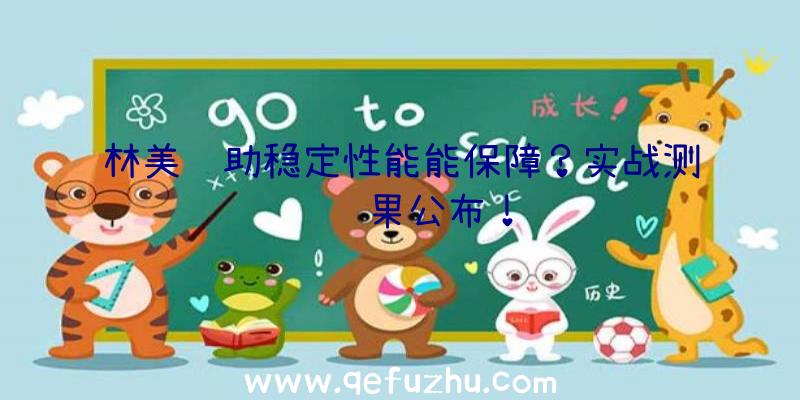 林美辅助稳定性能能保障？实战测试结果公布！