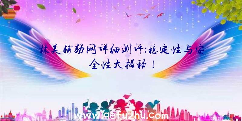林美辅助网详细测评：稳定性与安全性大揭秘！