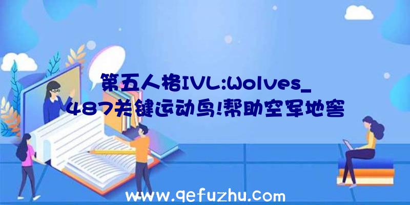 第五人格IVL:Wolves_487关键运动鸟!帮助空军地窖