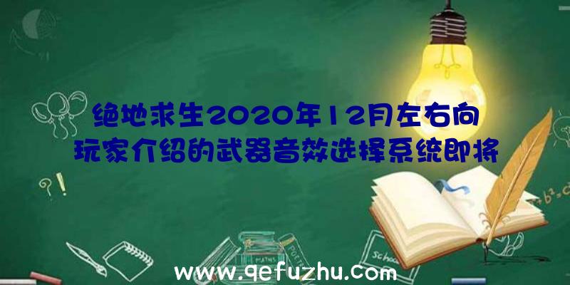 绝地求生2020年12月左右向玩家介绍的武器音效选择系统即将